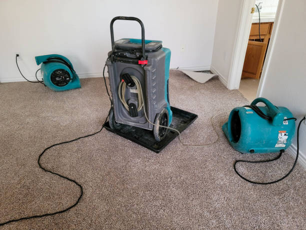  Sweet Springs, MO Water damage restoration Pros