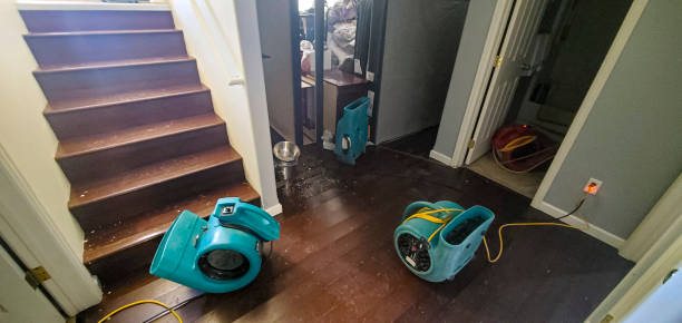 Best Water damage restoration near me  in Sweet Springs, MO