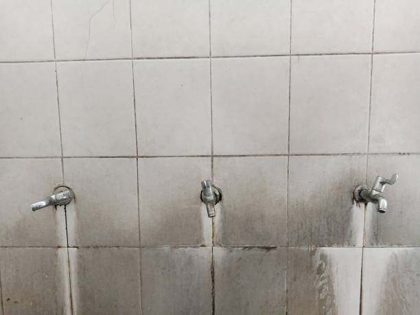 Best Local water damage restoration  in Sweet Springs, MO